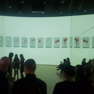 Visite du musée Guggenheim